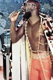 The Soul of Stax 1994 one on netflix