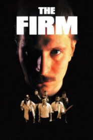 The Firm 1989 one on netflix