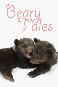 Beary Tales 2013 one on netflix