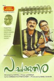 Pachakuthira 2006 one on netflix