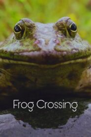 Frog Crossing 1996 one on netflix
