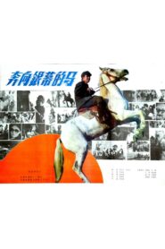 A Horse Galloping Toward Screen 1984 one on netflix