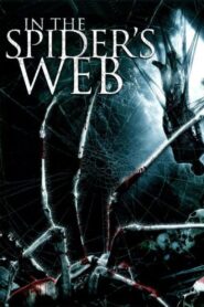 In the Spider’s Web 2007 one on netflix