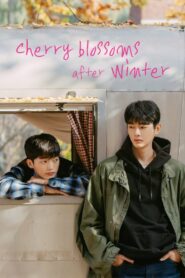 Cherry Blossoms After Winter 2022 one on netflix