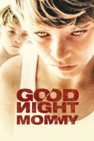 Goodnight Mommy 2015 one on netflix