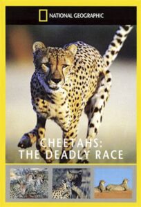 Cheetahs: The Deadly Race 2002 one on netflix