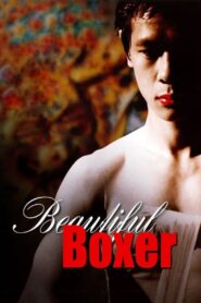 Beautiful Boxer 2003 one on netflix