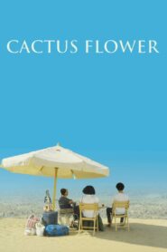 Cactus Flower 2017 one on netflix