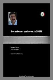 Dos valientes por herencia 1994 one on netflix