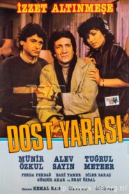 Dost Yarası 1984 one on netflix