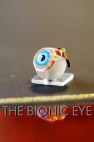 The Bionic Eye 2012 one on netflix