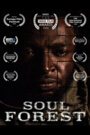 Soul Forest 2020 one on netflix