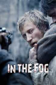 In the Fog 2012 one on netflix