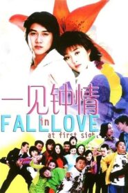 Fall in Love at First Sight 2002 one on netflix
