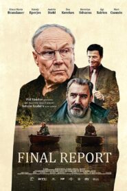 Final Report 2020 one on netflix