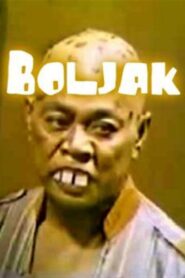 Boljak 1981 one on netflix