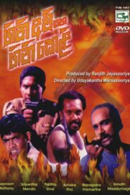 Firearms and Fireworks 1998 one on netflix
