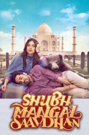Shubh Mangal Saavdhan 2017 one on netflix