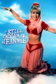 I Still Dream of Jeannie 1991 one on netflix