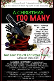 A Christmas Too Many 2007 one on netflix