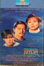 One and Only Star 1994 one on netflix