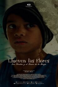 Llueven las flores, los piratas y el tesoro de la bruja 2023 one on netflix