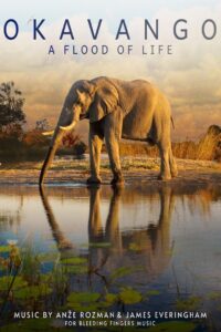 Okavango: A Flood of Life 2021 one on netflix
