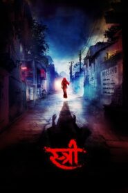 Stree 2018 one on netflix