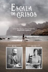 Escala de grisos 2021 one on netflix