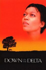 Down in the Delta 1998 one on netflix