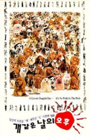 A Hot Roof 1995 one on netflix