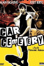 Car Cemetery 1983 one on netflix