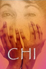 Chi 2013 one on netflix