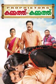 Proprietors: Kammath & Kammath 2013 one on netflix