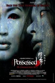 Possessed 2006 one on netflix