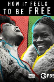 How It Feels to Be Free 2021 one on netflix