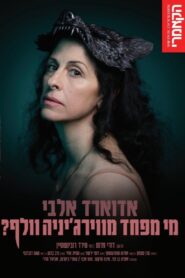 Who’s Afraid of Virginia Woolf? 2024 one on netflix