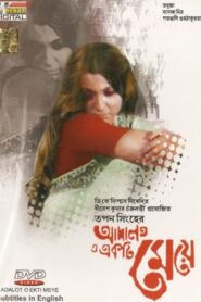 The Law and a Lady 1982 one on netflix