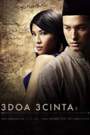 3 Wishes 3 Loves 2008 one on netflix