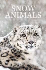 Snow Animals 2019 one on netflix