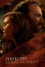 Perfectly Good Moment 2023 one on netflix