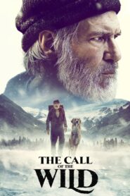 The Call of the Wild 2020 one on netflix