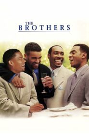 The Brothers 2001 one on netflix