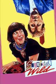 Something Wild 1986 one on netflix