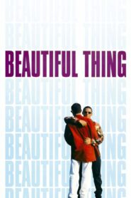 Beautiful Thing 1996 one on netflix
