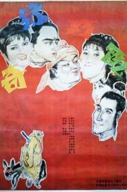 奇缘巧配 1990 one on netflix