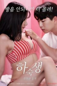 Boarder: Dangerous Cohabitation 2024 one on netflix