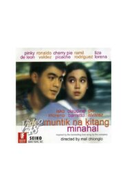 Muntik na Kitang Minahal 1994 one on netflix