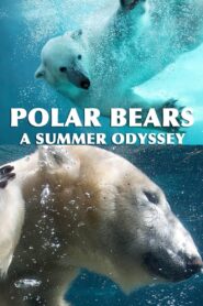 Polar Bears: A Summer Odyssey 2012 one on netflix