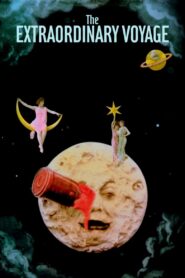 The Extraordinary Voyage 2011 one on netflix
